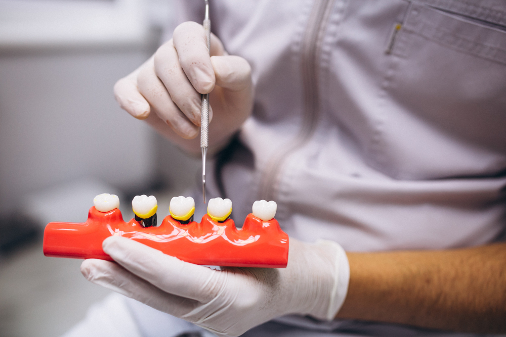 Woman patient at dentist Woman patient at dentist<br />
